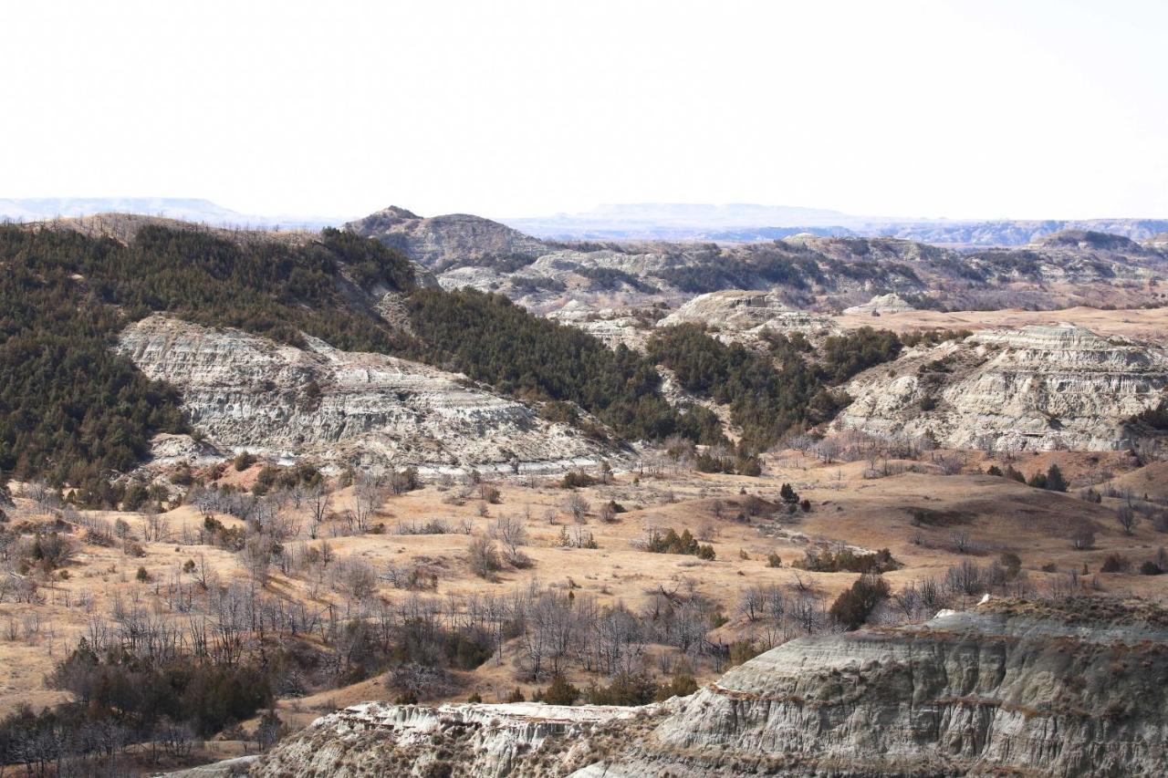 Badlands Suite Less Than 1 Mi To Teddy Roosevelt Park! 메도라 외부 사진