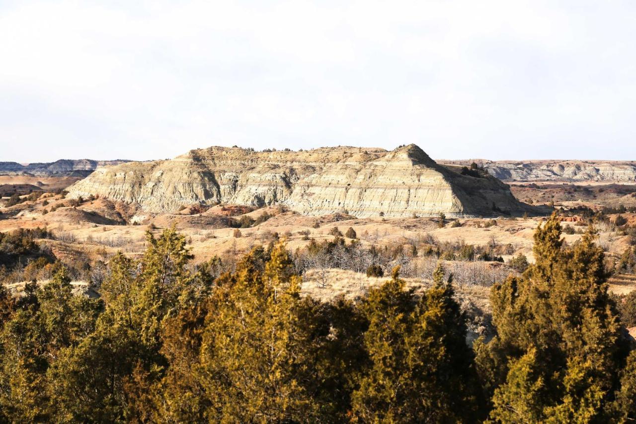 Badlands Suite Less Than 1 Mi To Teddy Roosevelt Park! 메도라 외부 사진