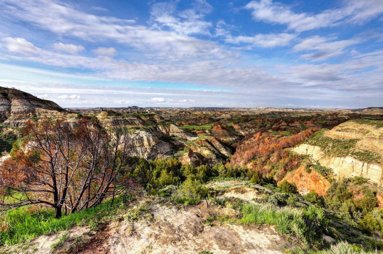Badlands Suite Less Than 1 Mi To Teddy Roosevelt Park! 메도라 외부 사진