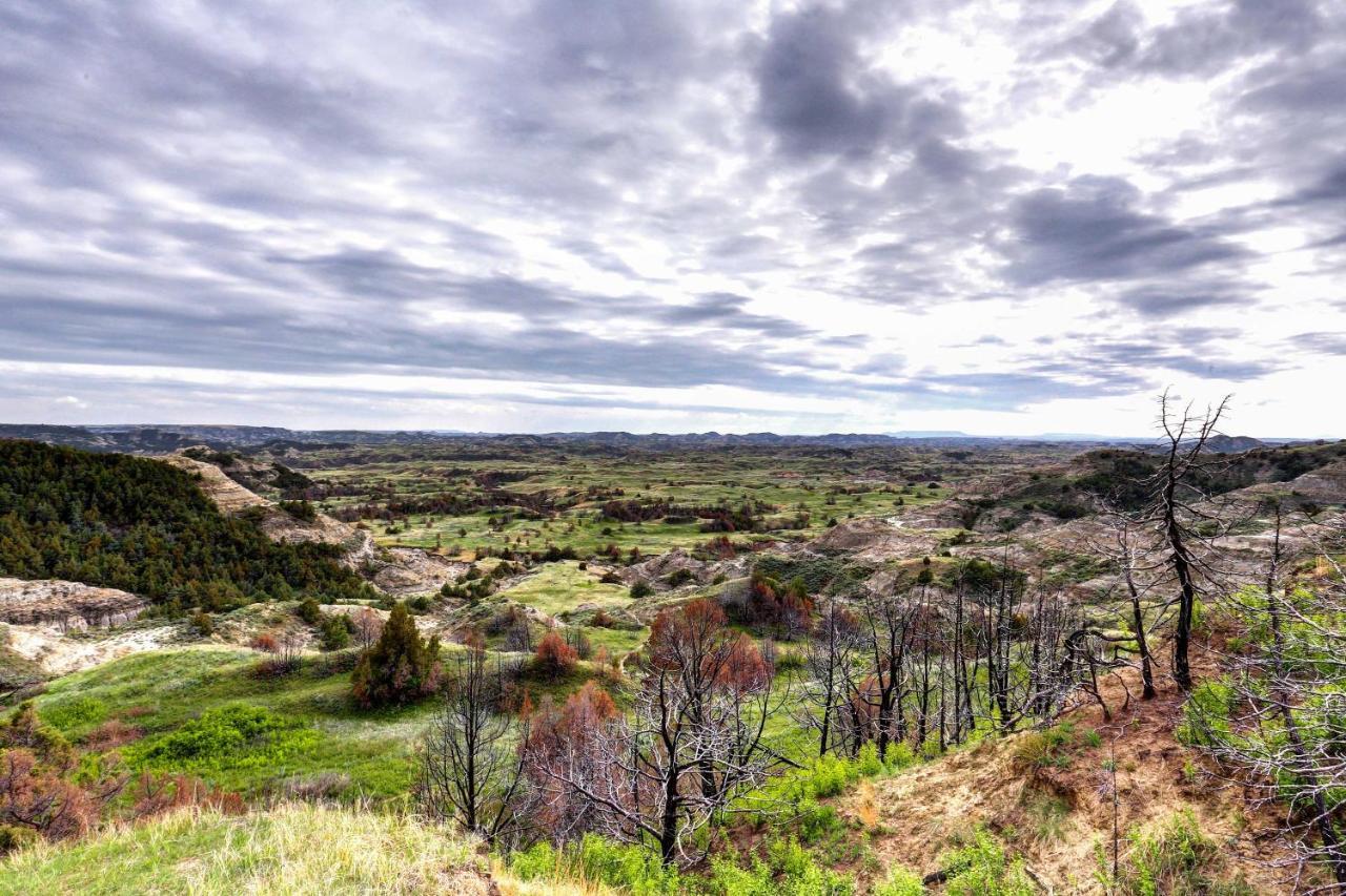 Badlands Suite Less Than 1 Mi To Teddy Roosevelt Park! 메도라 외부 사진